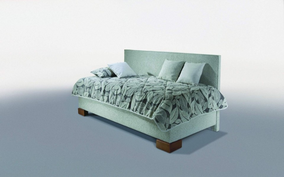 Varianta s dlouhým čelem