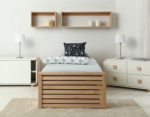 Postel Thomas I. - buk přírodní